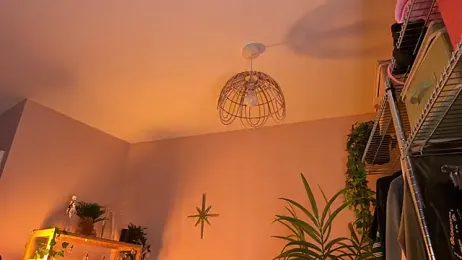 _vixenp stripchat stream image