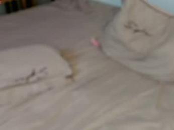 lili_and_niki chaturbate stream image