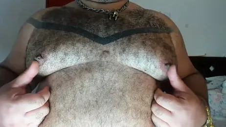 Bearspigdirty stripchat stream image