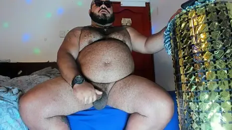 Bearspigdirty stripchat stream image