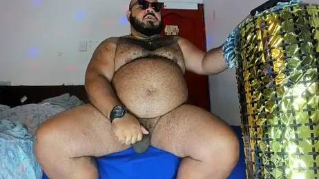 Bearspigdirty stripchat stream image